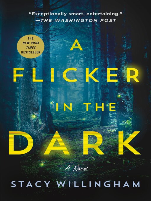 Title details for A Flicker in the Dark: a Novel by Stacy Willingham - Wait list